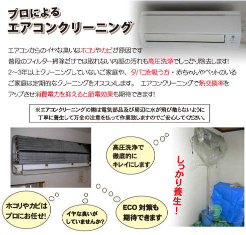 �G�A�R���̍������